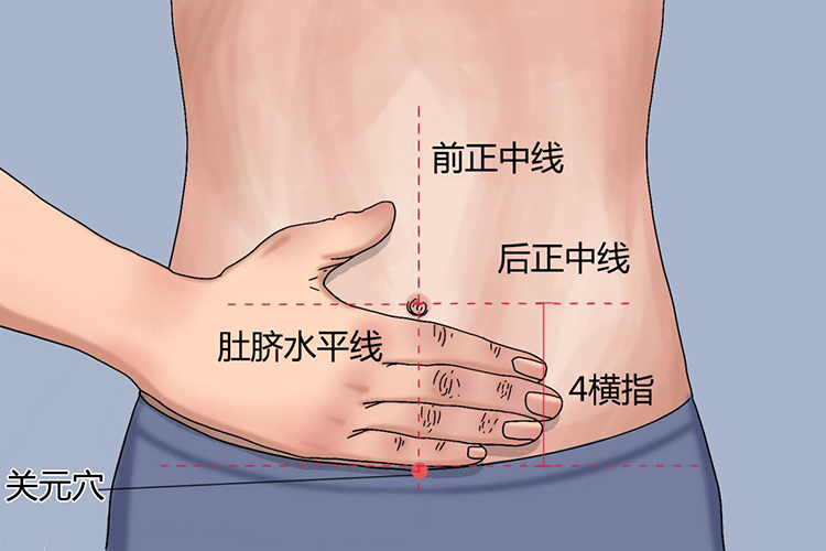 关元穴位置图