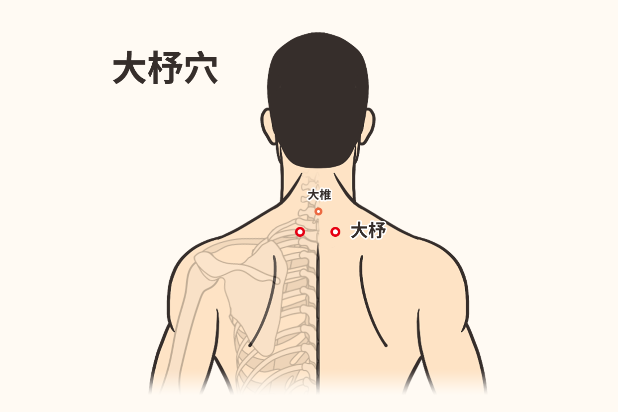 大杼穴位置图