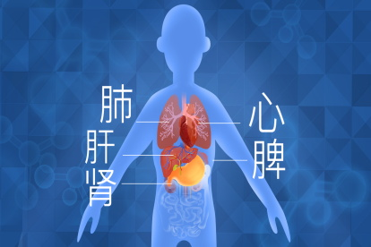 心肝肺脾肾的穴位图 | 百度健康·医学科普