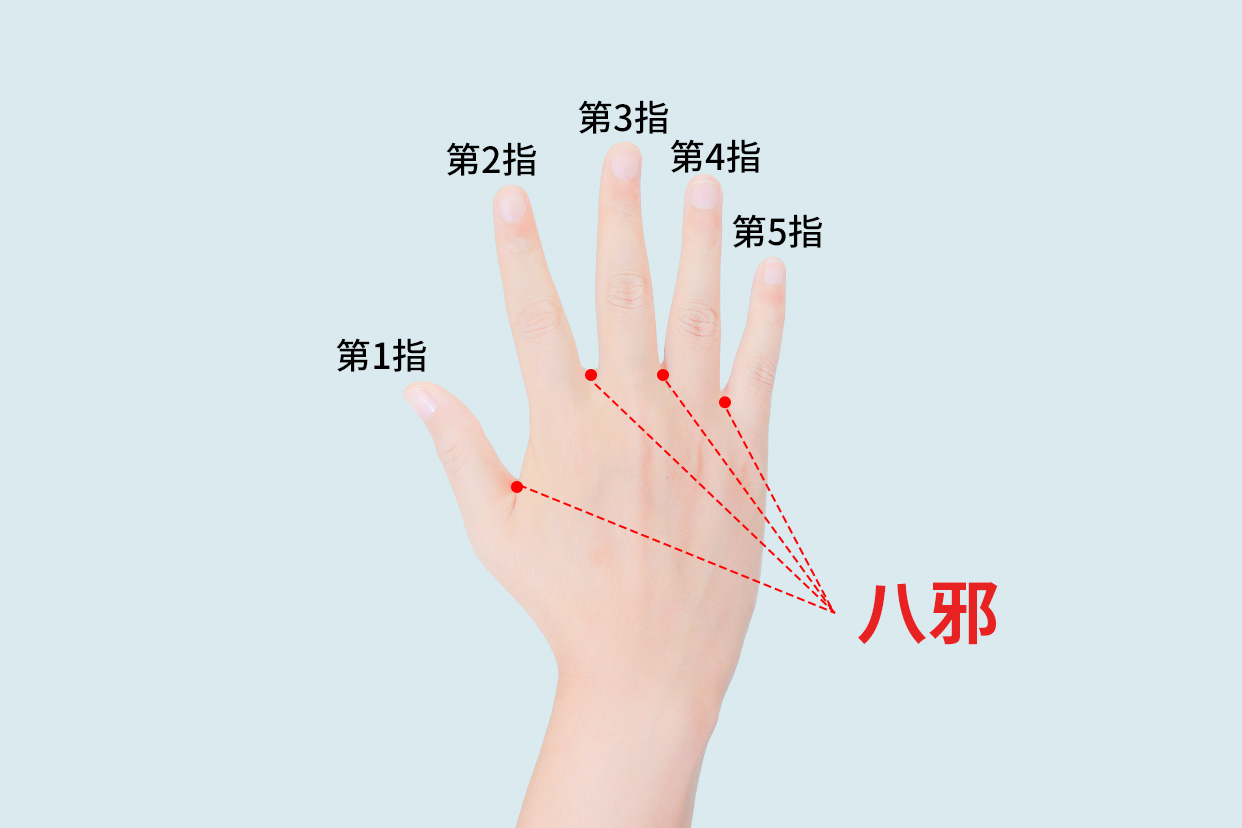 八邪穴的位置及功效图
