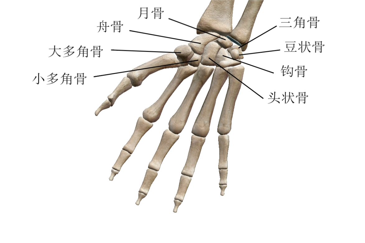 页面访问异常