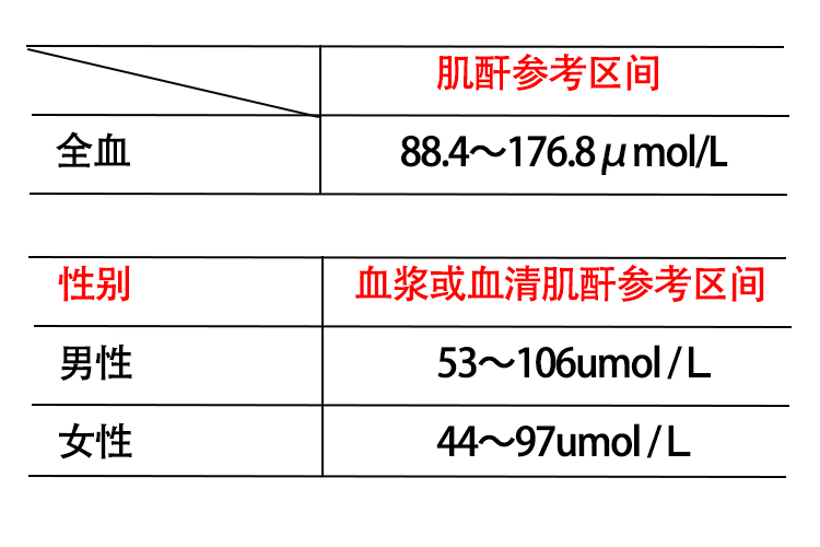 肌酐对照表