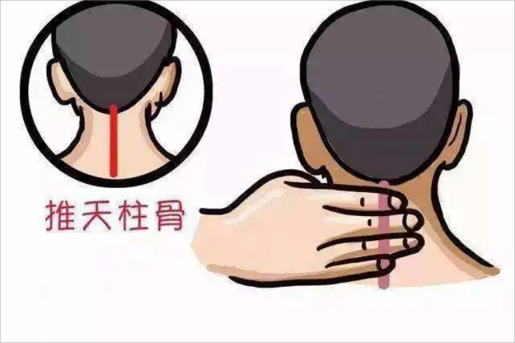天柱骨的准确位置图片 | 百度健康·医学科普