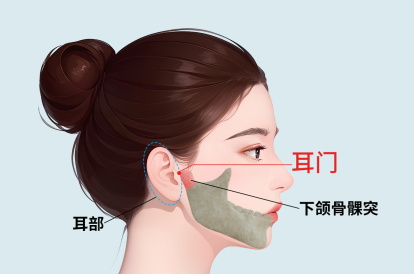 耳门的准确位置图片