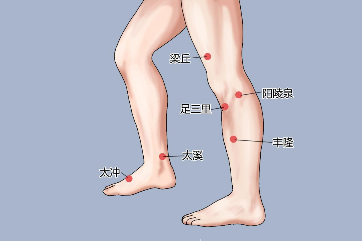 减肥穴位