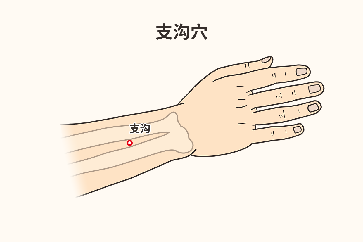 支沟的准确位置图和作用 | 百度健康·医学科普