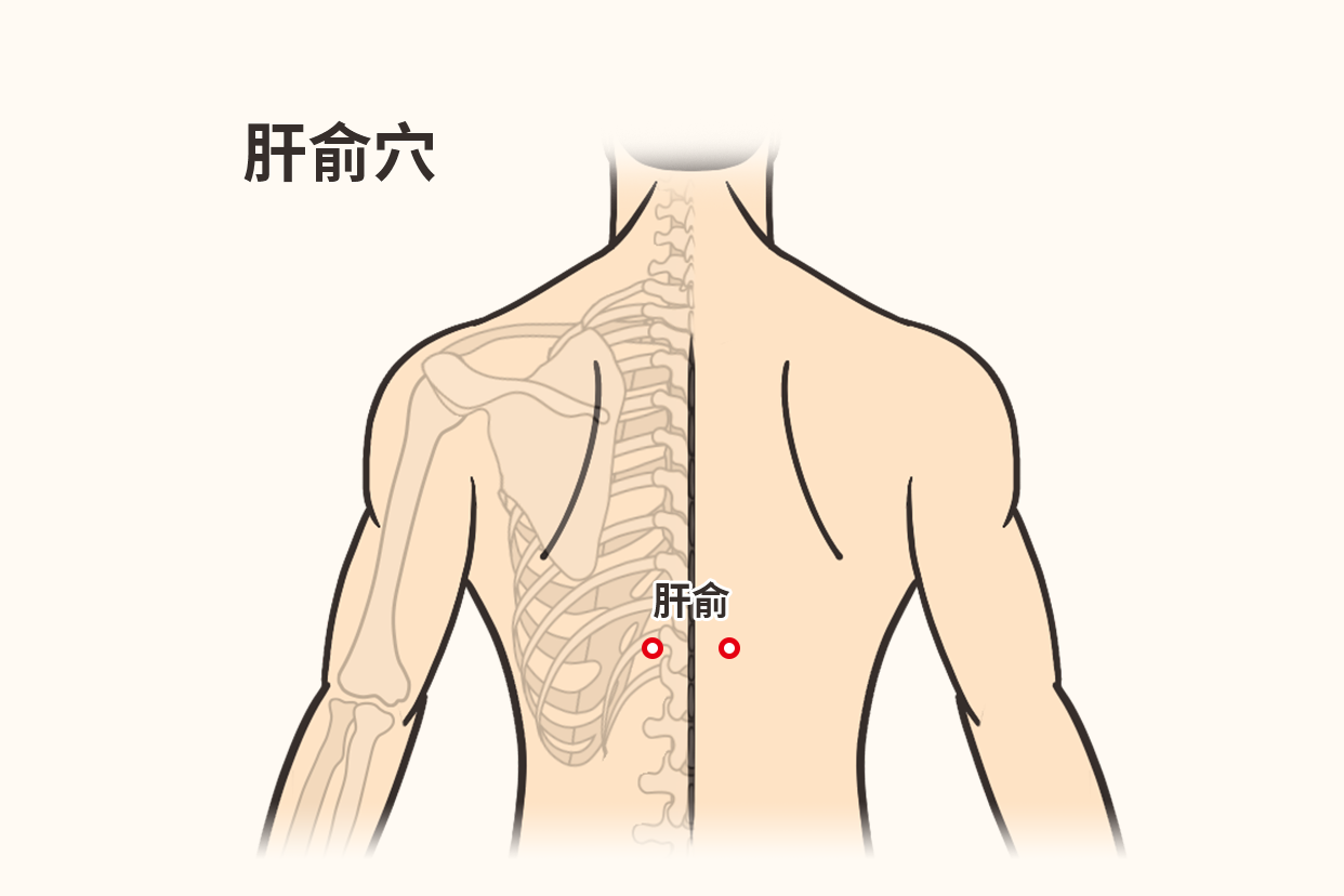 肝俞准确位置图片图 | 百度健康·医学科普