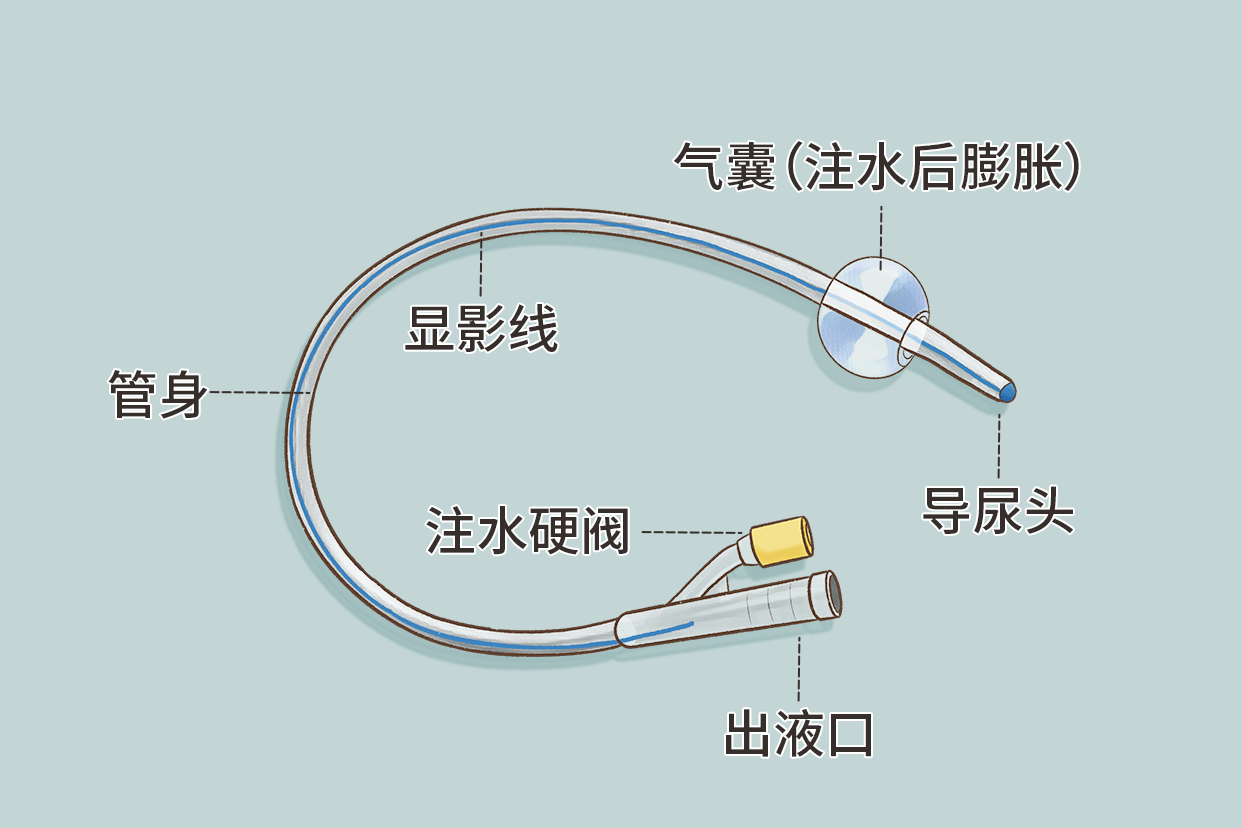【维力硅胶导尿管】维力 一次性使用无菌硅胶导尿管 双腔标准型20号价格|说明书|怎么样-医流巴巴网上商城