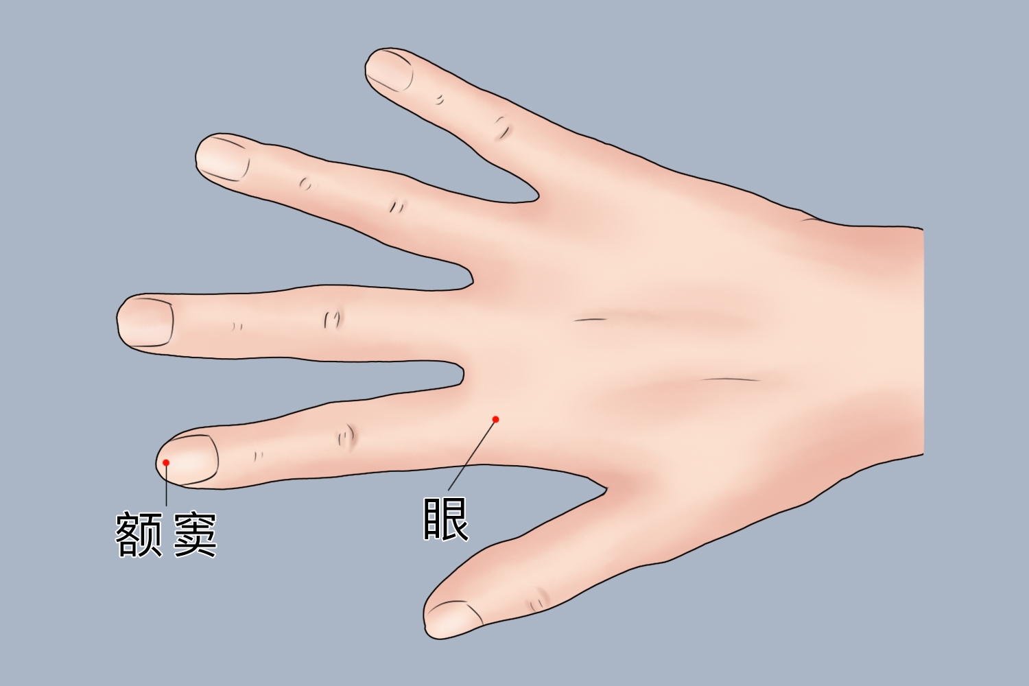 食指反射区图 | 百度健康·医学科普